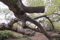 Ausfl_Chiem_15_22