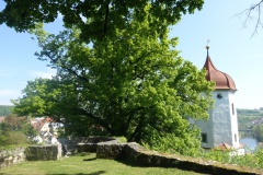 Harburg-2019-11