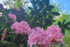 Mostbesa25_02