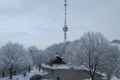ChW_15_14