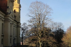 Schoeneb_17_034