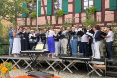 Sommer_2523